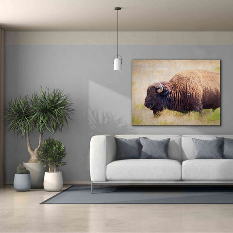 Image of 'Buffalo II' by Debra Van Swearingen, Canvas Wall Art,54 x 40