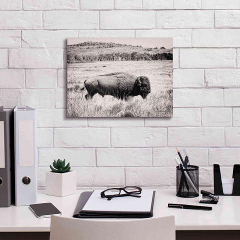 Image of 'Buffalo I BW' by Debra Van Swearingen, Canvas Wall Art,16 x 12
