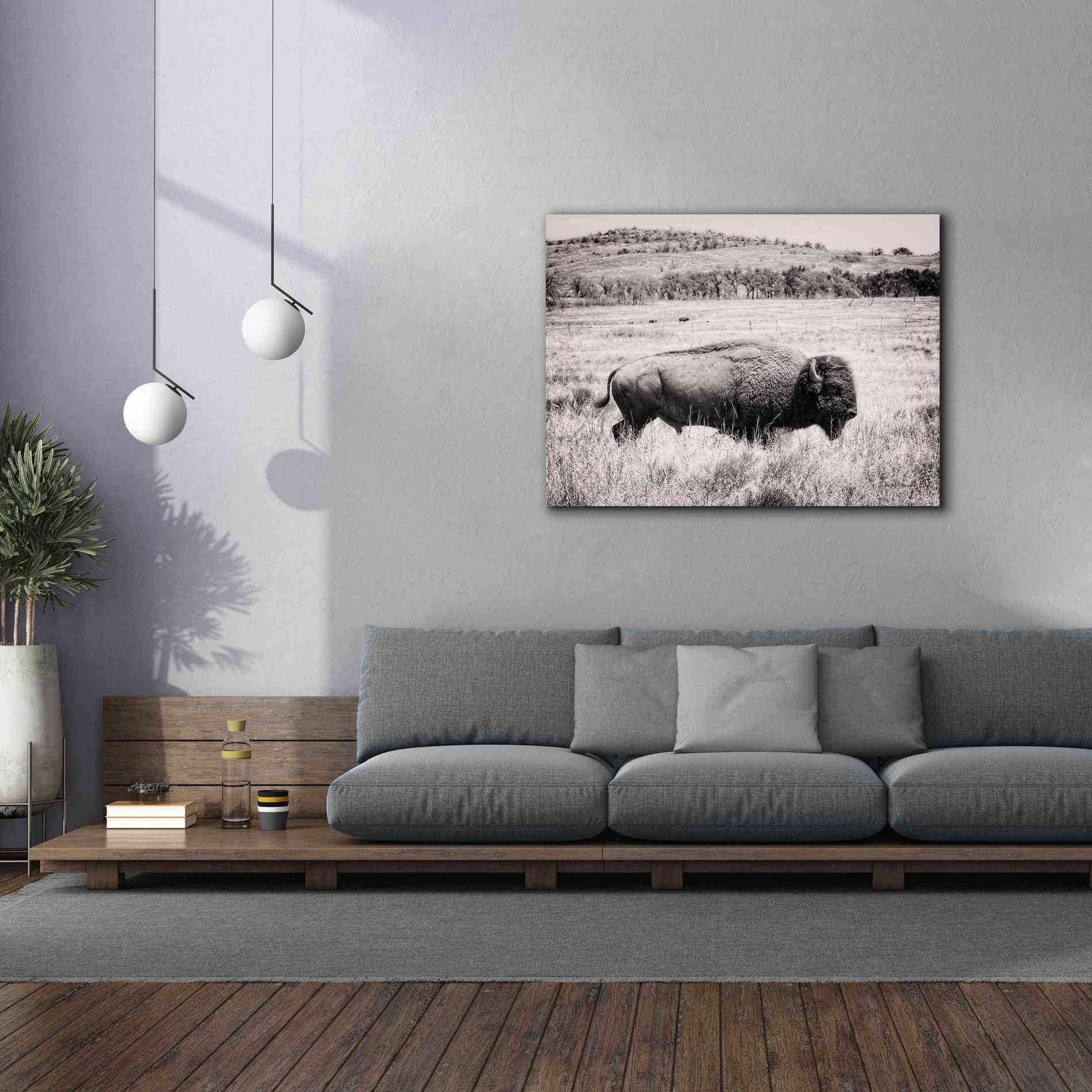 'Buffalo I BW' by Debra Van Swearingen, Canvas Wall Art,54 x 40