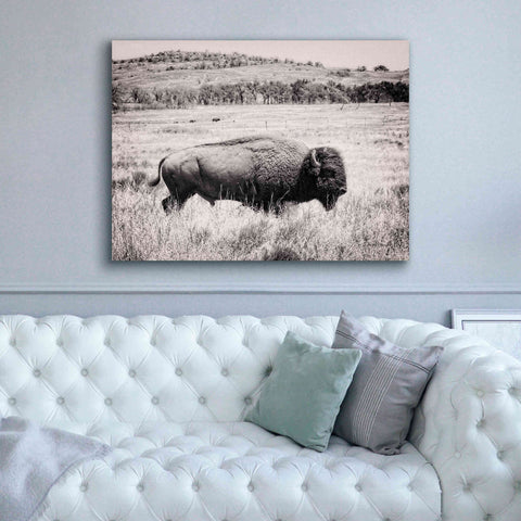 Image of 'Buffalo I BW' by Debra Van Swearingen, Canvas Wall Art,54 x 40