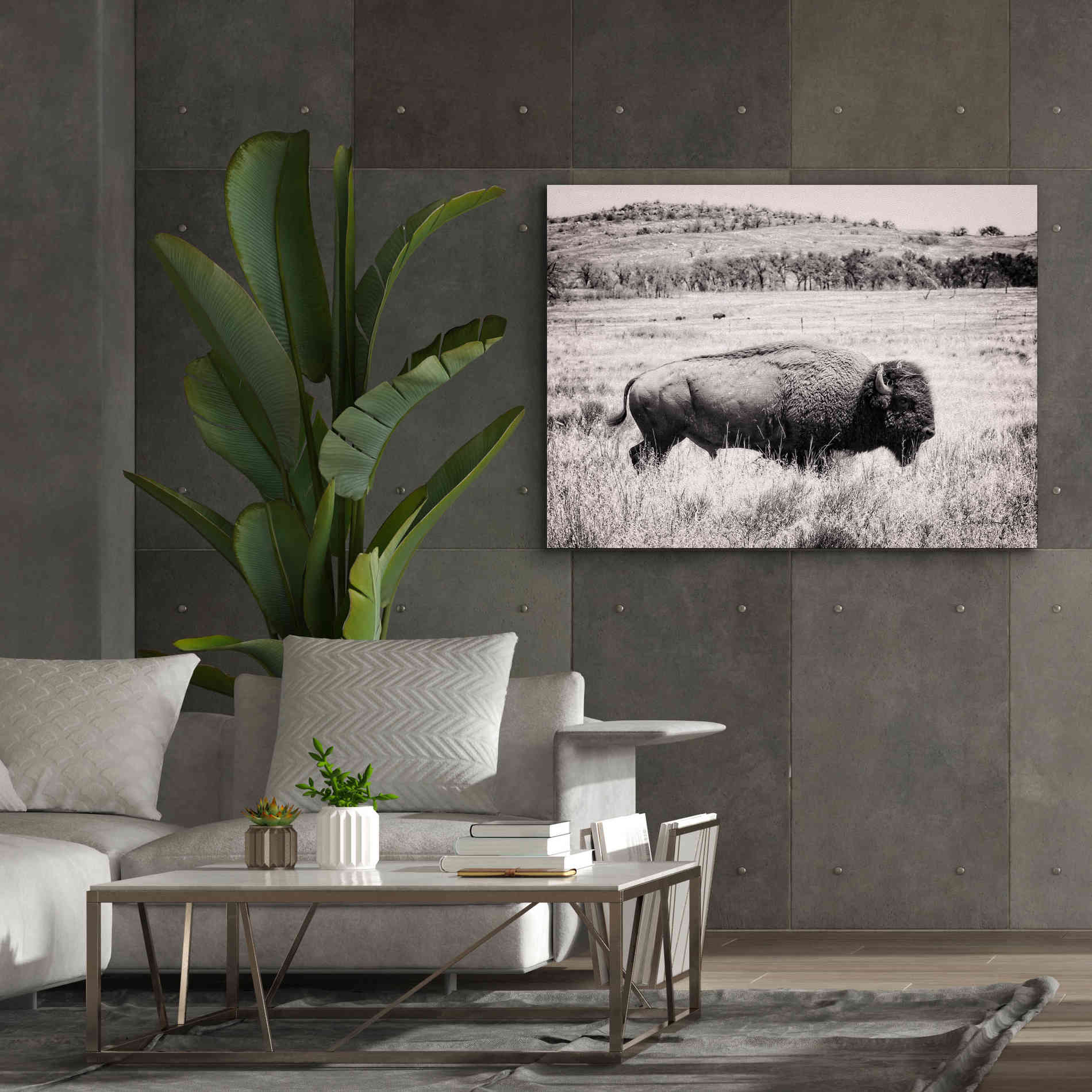 'Buffalo I BW' by Debra Van Swearingen, Canvas Wall Art,54 x 40