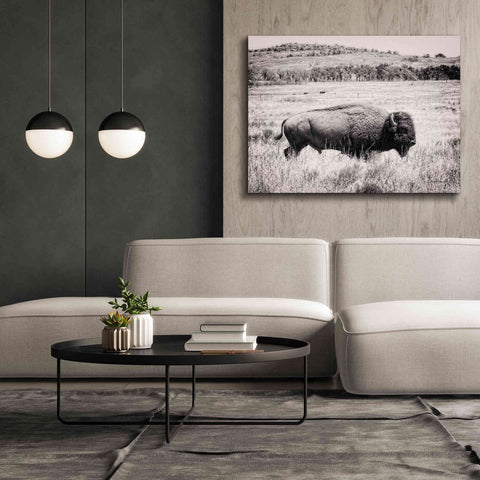 Image of 'Buffalo I BW' by Debra Van Swearingen, Canvas Wall Art,54 x 40