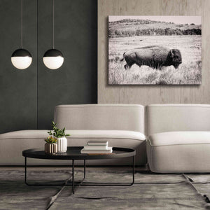 'Buffalo I BW' by Debra Van Swearingen, Canvas Wall Art,54 x 40