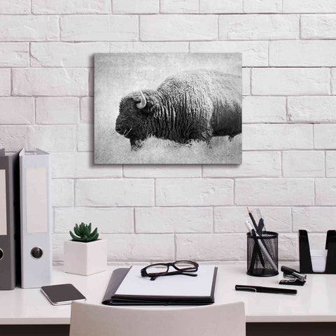 Image of 'Buffalo II BW' by Debra Van Swearingen, Canvas Wall Art,16 x 12