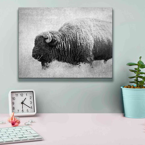 Image of 'Buffalo II BW' by Debra Van Swearingen, Canvas Wall Art,16 x 12