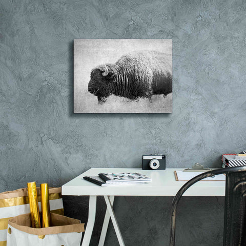 Image of 'Buffalo II BW' by Debra Van Swearingen, Canvas Wall Art,16 x 12