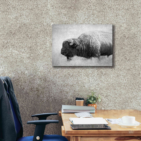 Image of 'Buffalo II BW' by Debra Van Swearingen, Canvas Wall Art,24 x 20