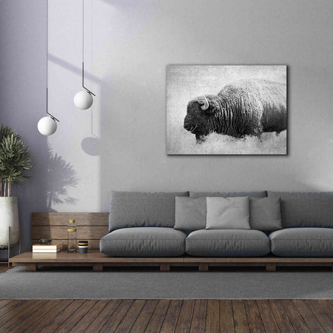 Image of 'Buffalo II BW' by Debra Van Swearingen, Canvas Wall Art,54 x 40