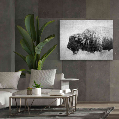 Image of 'Buffalo II BW' by Debra Van Swearingen, Canvas Wall Art,54 x 40