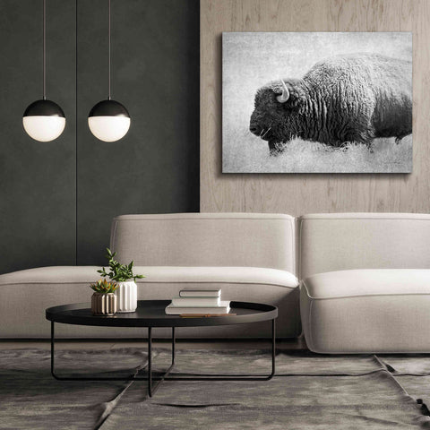 Image of 'Buffalo II BW' by Debra Van Swearingen, Canvas Wall Art,54 x 40