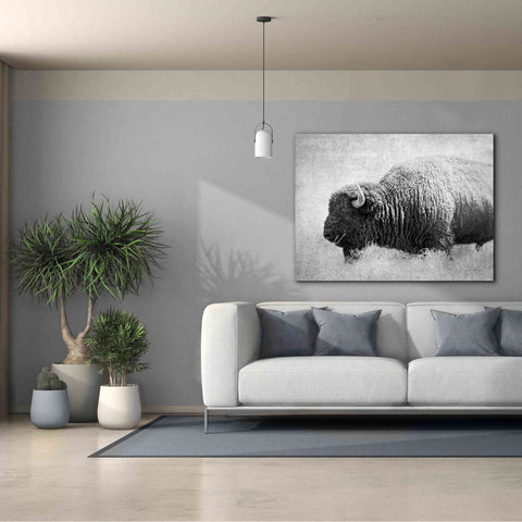 Image of 'Buffalo II BW' by Debra Van Swearingen, Canvas Wall Art,54 x 40