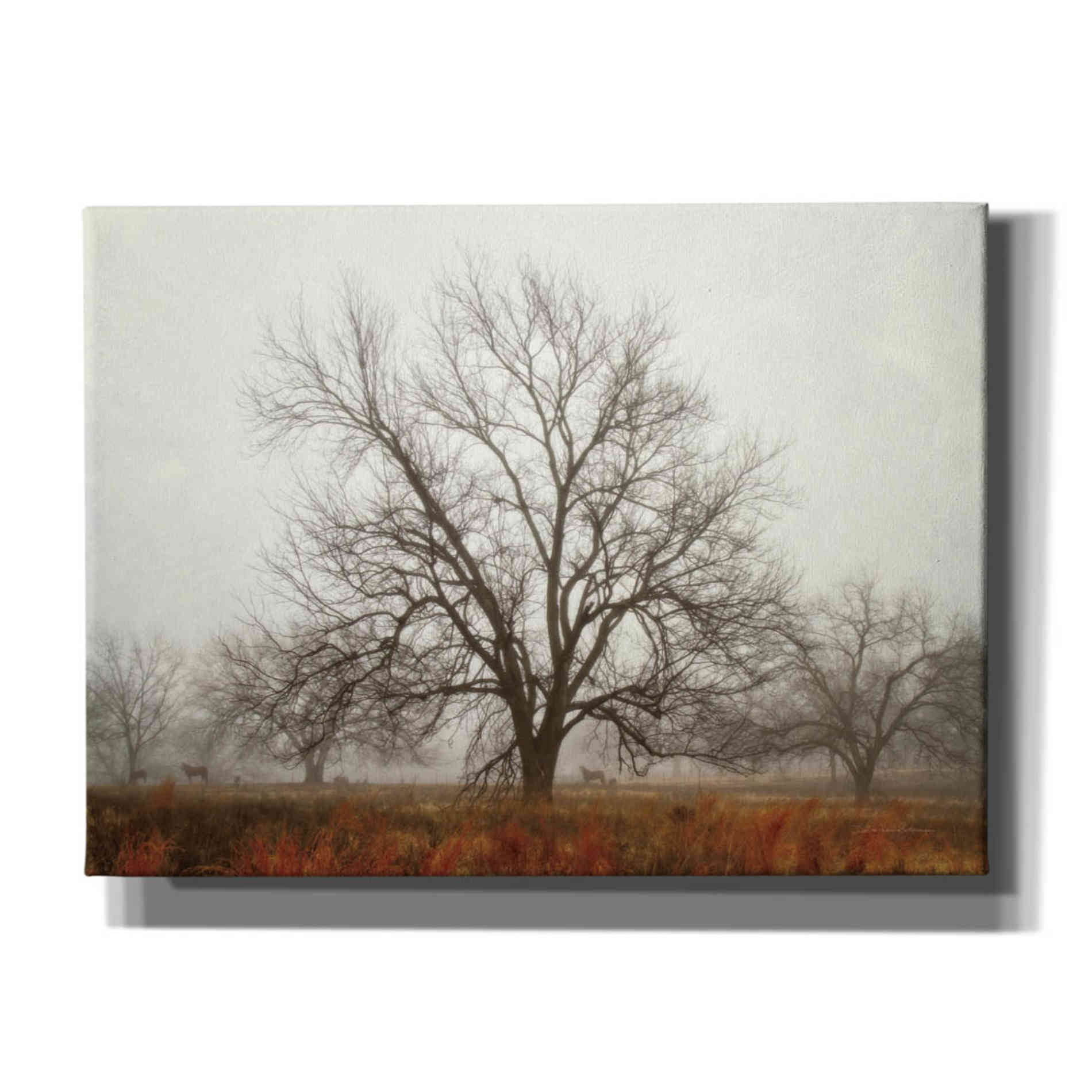 'Morning Calm I' by Debra Van Swearingen, Canvas Wall Art,16x12x1.1x0,26x18x1.1x0,34x26x1.74x0,54x40x1.74x0