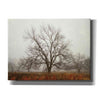 'Morning Calm I' by Debra Van Swearingen, Canvas Wall Art,16x12x1.1x0,26x18x1.1x0,34x26x1.74x0,54x40x1.74x0