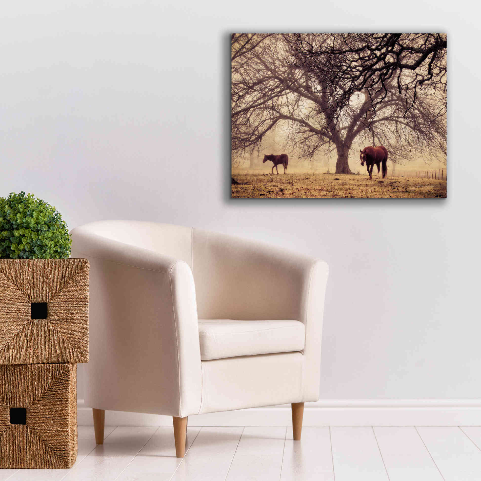 'Morning Calm II' by Debra Van Swearingen, Canvas Wall Art,34 x 26