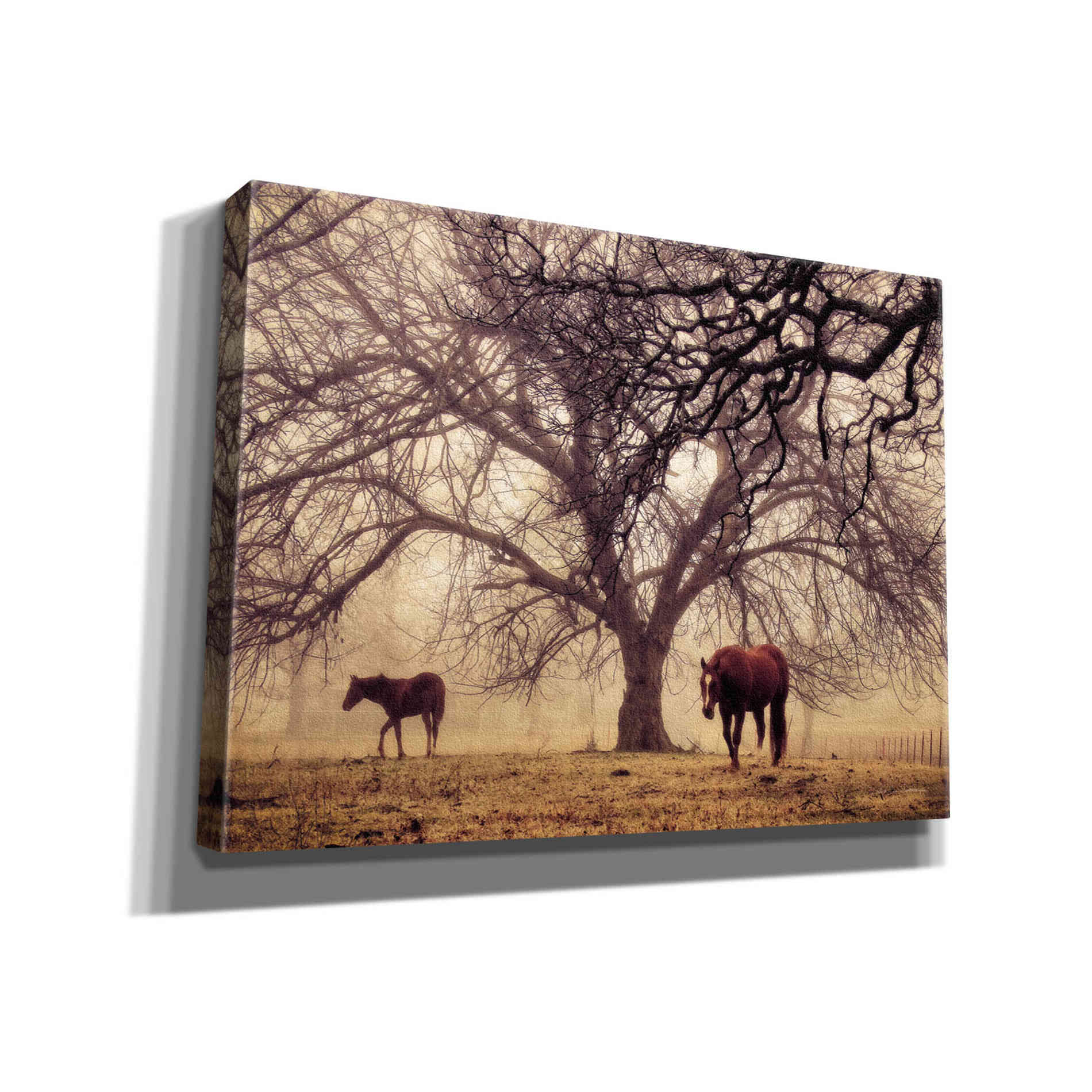 'Morning Calm II' by Debra Van Swearingen, Canvas Wall Art,16x12x1.1x0,26x18x1.1x0,34x26x1.74x0,54x40x1.74x0