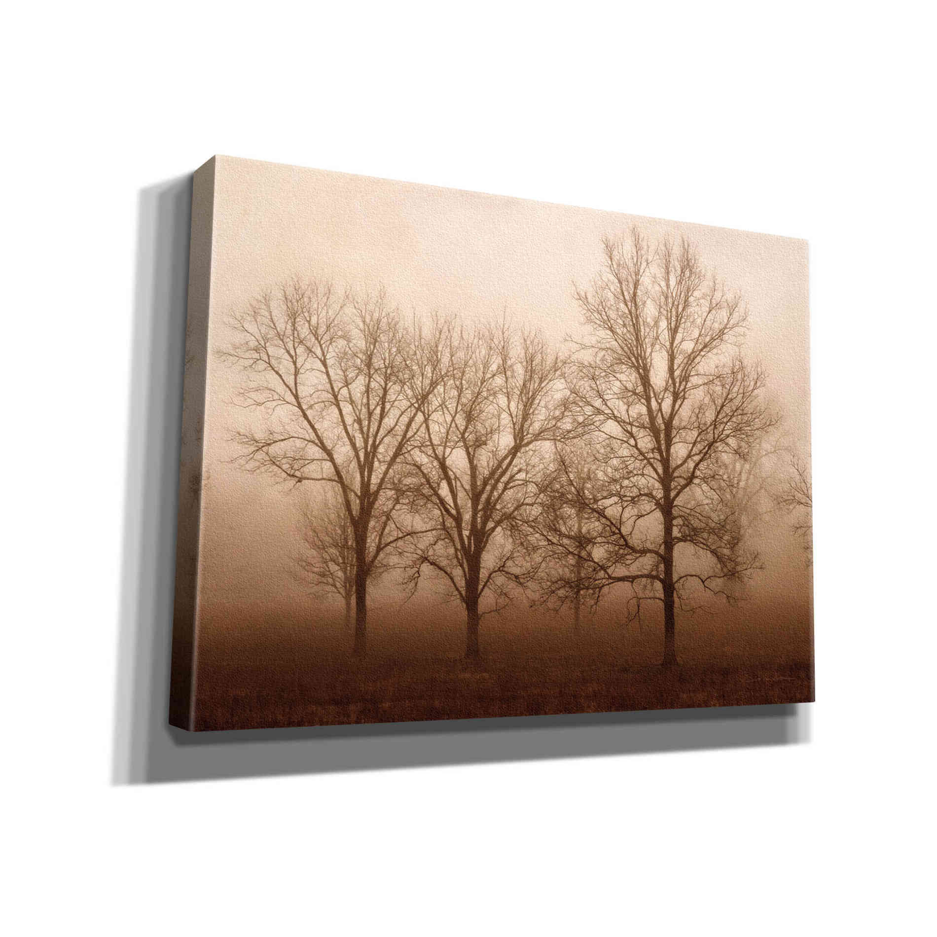 'Morning Calm III' by Debra Van Swearingen, Canvas Wall Art,16x12x1.1x0,26x18x1.1x0,34x26x1.74x0,54x40x1.74x0