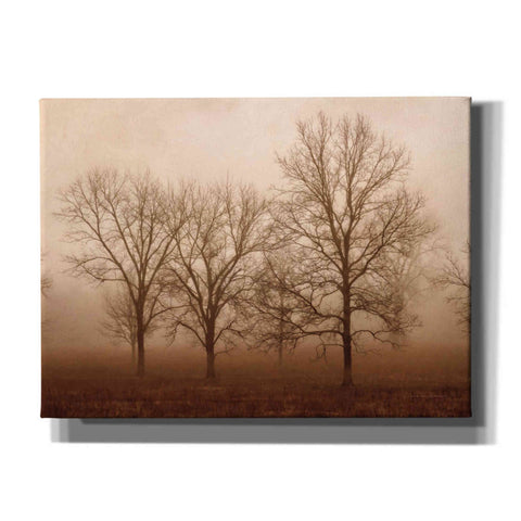 Image of 'Morning Calm III' by Debra Van Swearingen, Canvas Wall Art,16x12x1.1x0,26x18x1.1x0,34x26x1.74x0,54x40x1.74x0