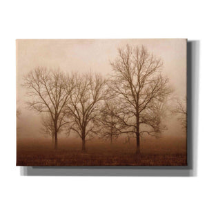 'Morning Calm III' by Debra Van Swearingen, Canvas Wall Art,16x12x1.1x0,26x18x1.1x0,34x26x1.74x0,54x40x1.74x0