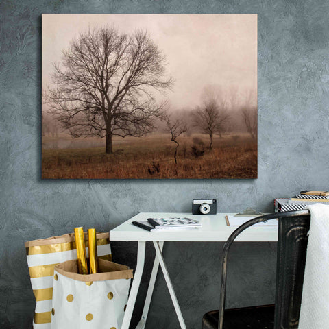 Image of 'Morning Calm IV' by Debra Van Swearingen, Canvas Wall Art,34 x 26