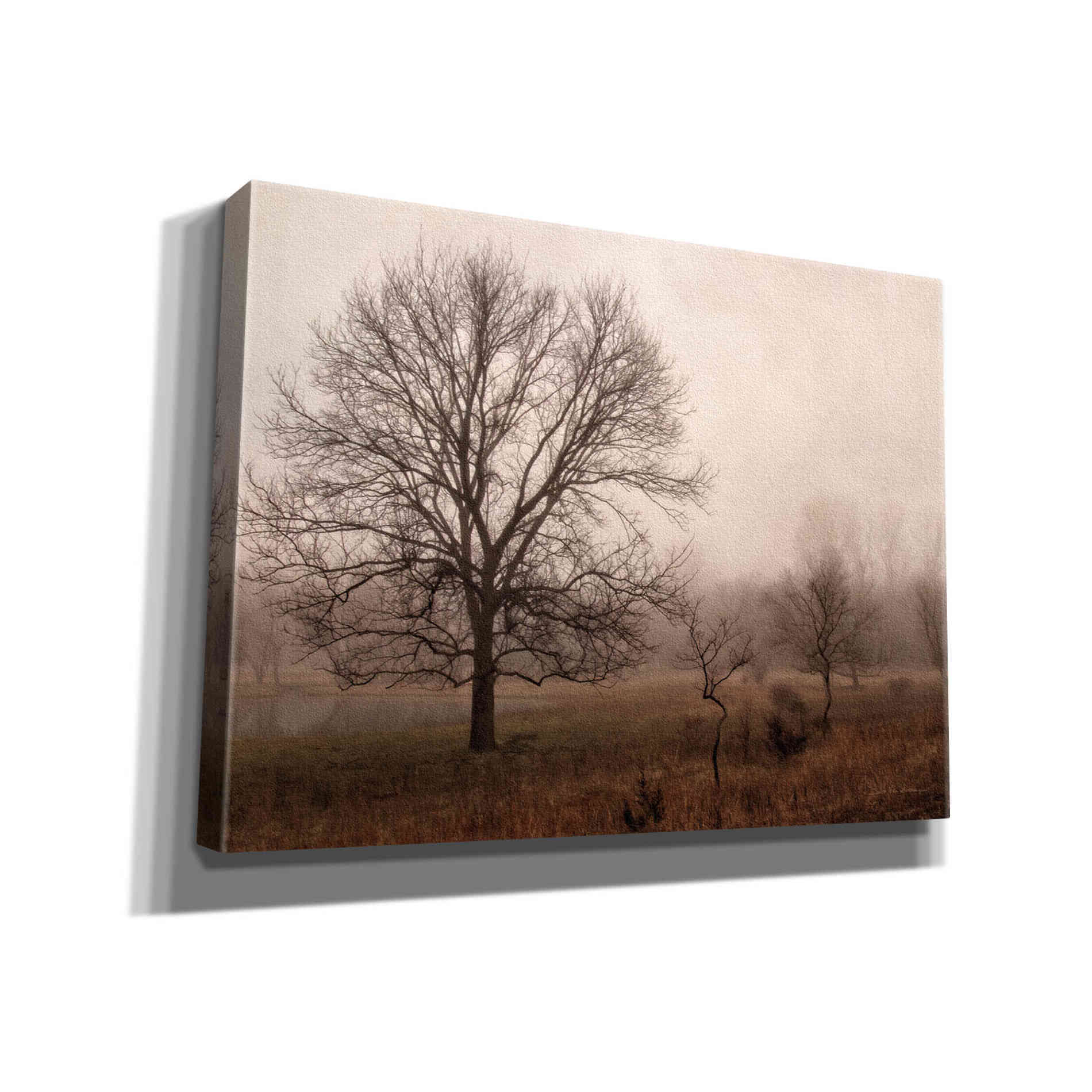 'Morning Calm IV' by Debra Van Swearingen, Canvas Wall Art,16x12x1.1x0,26x18x1.1x0,34x26x1.74x0,54x40x1.74x0
