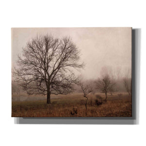 'Morning Calm IV' by Debra Van Swearingen, Canvas Wall Art,16x12x1.1x0,26x18x1.1x0,34x26x1.74x0,54x40x1.74x0