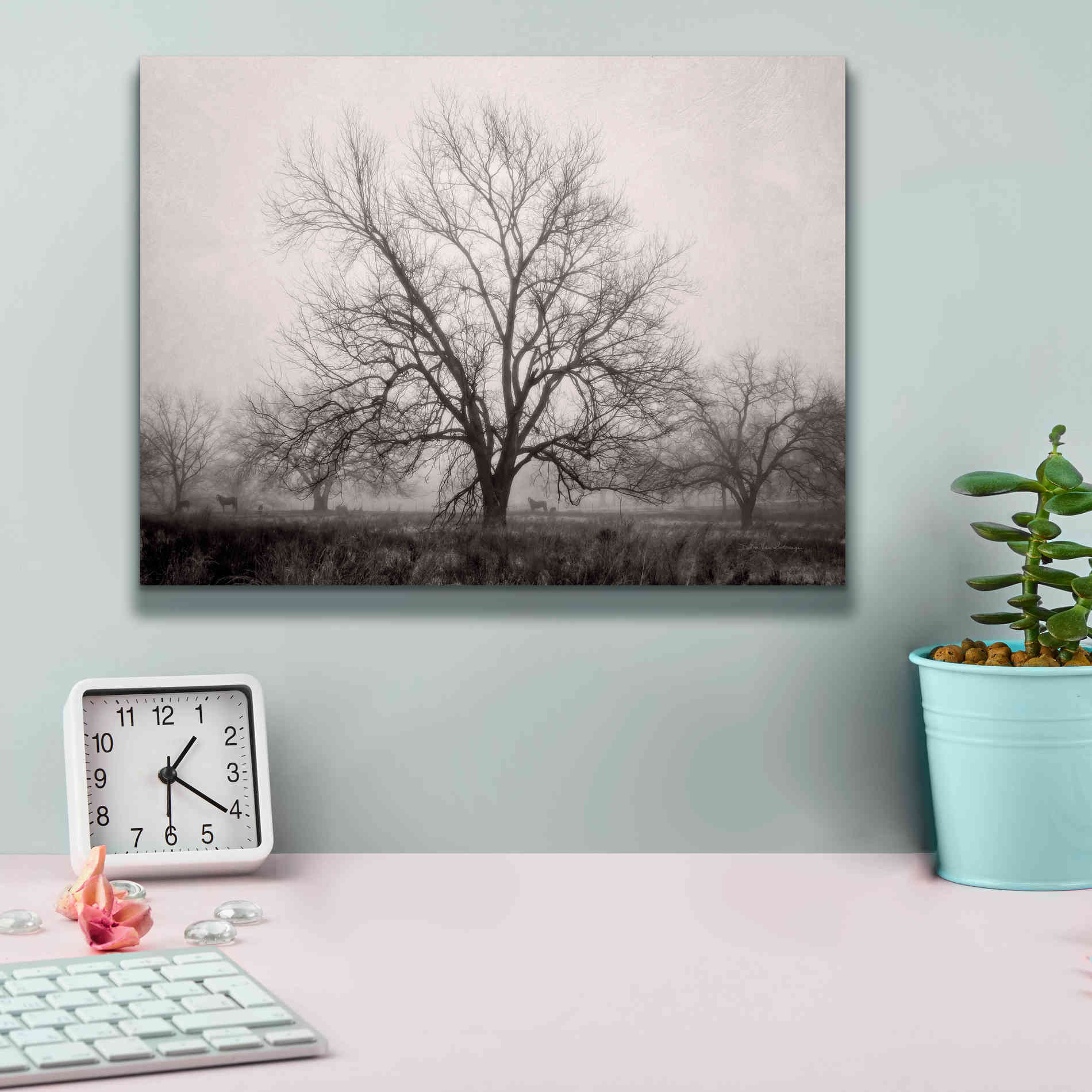 'Morning Calm I BW' by Debra Van Swearingen, Canvas Wall Art,16 x 12