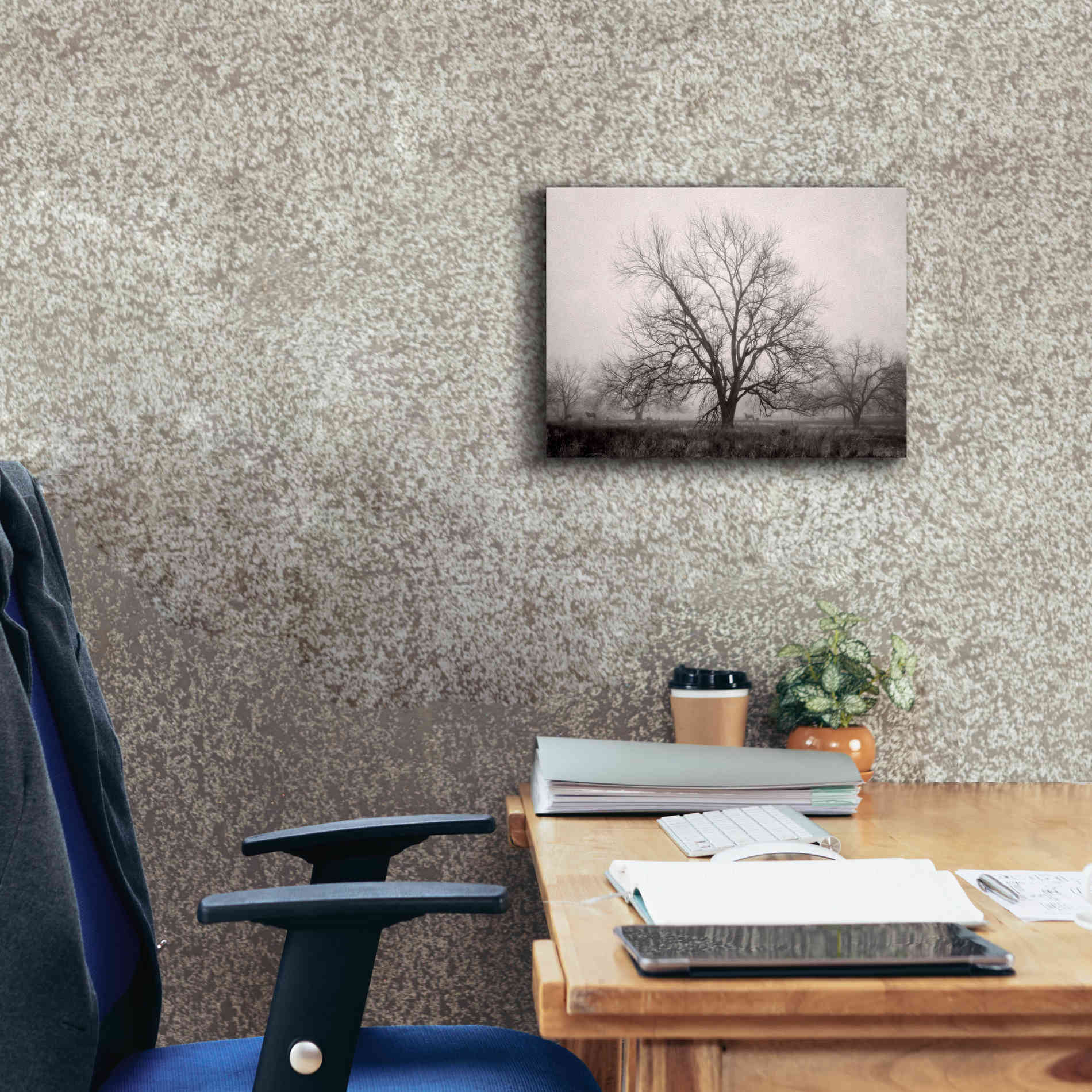 'Morning Calm I BW' by Debra Van Swearingen, Canvas Wall Art,16 x 12