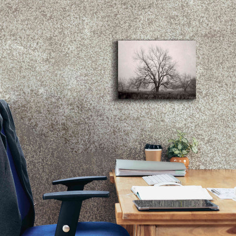 Image of 'Morning Calm I BW' by Debra Van Swearingen, Canvas Wall Art,16 x 12