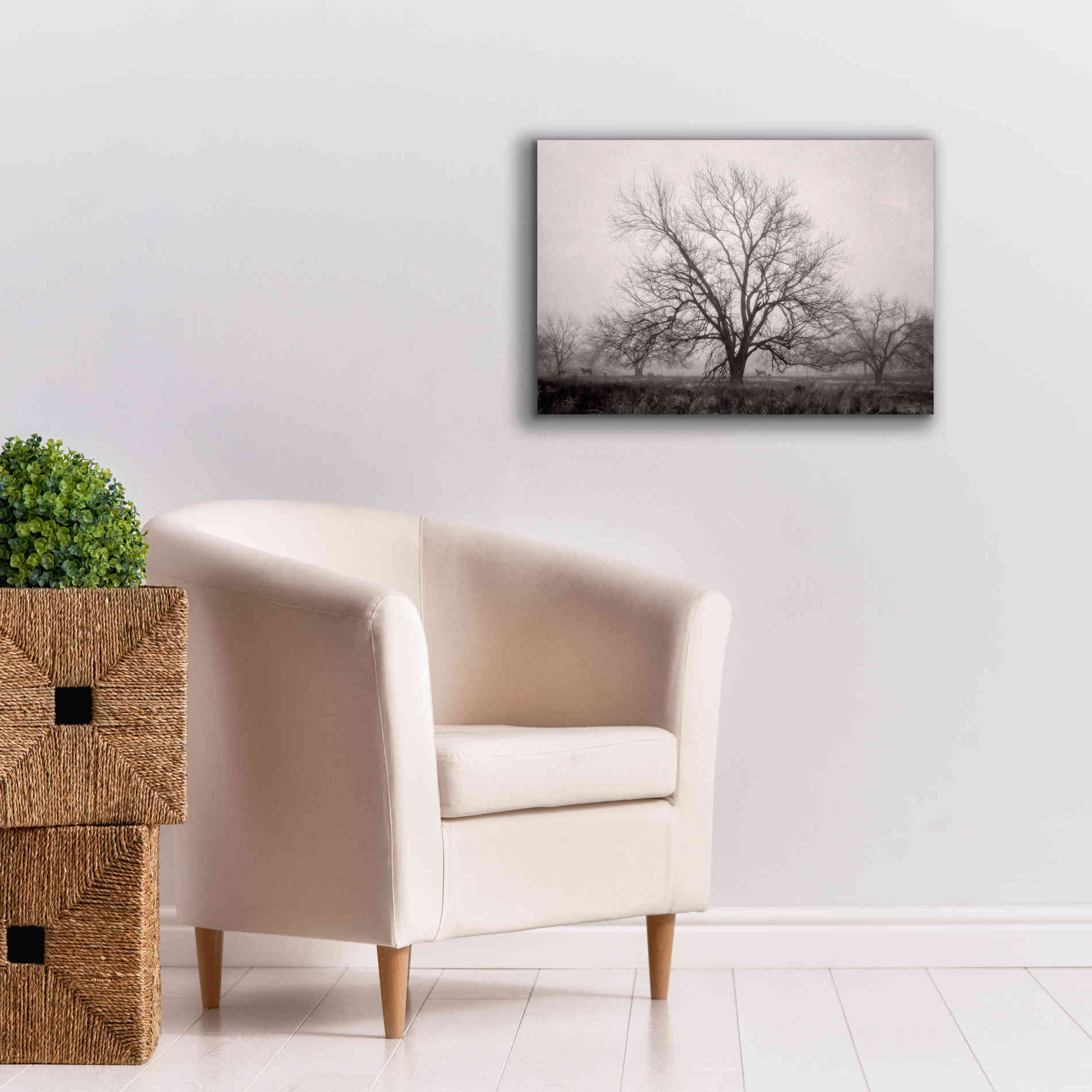 'Morning Calm I BW' by Debra Van Swearingen, Canvas Wall Art,26 x 18