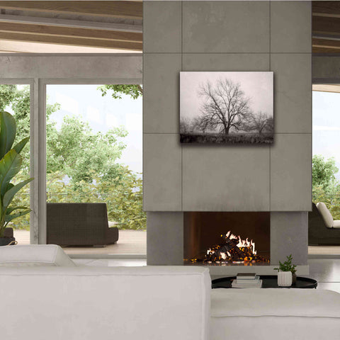 Image of 'Morning Calm I BW' by Debra Van Swearingen, Canvas Wall Art,34 x 26