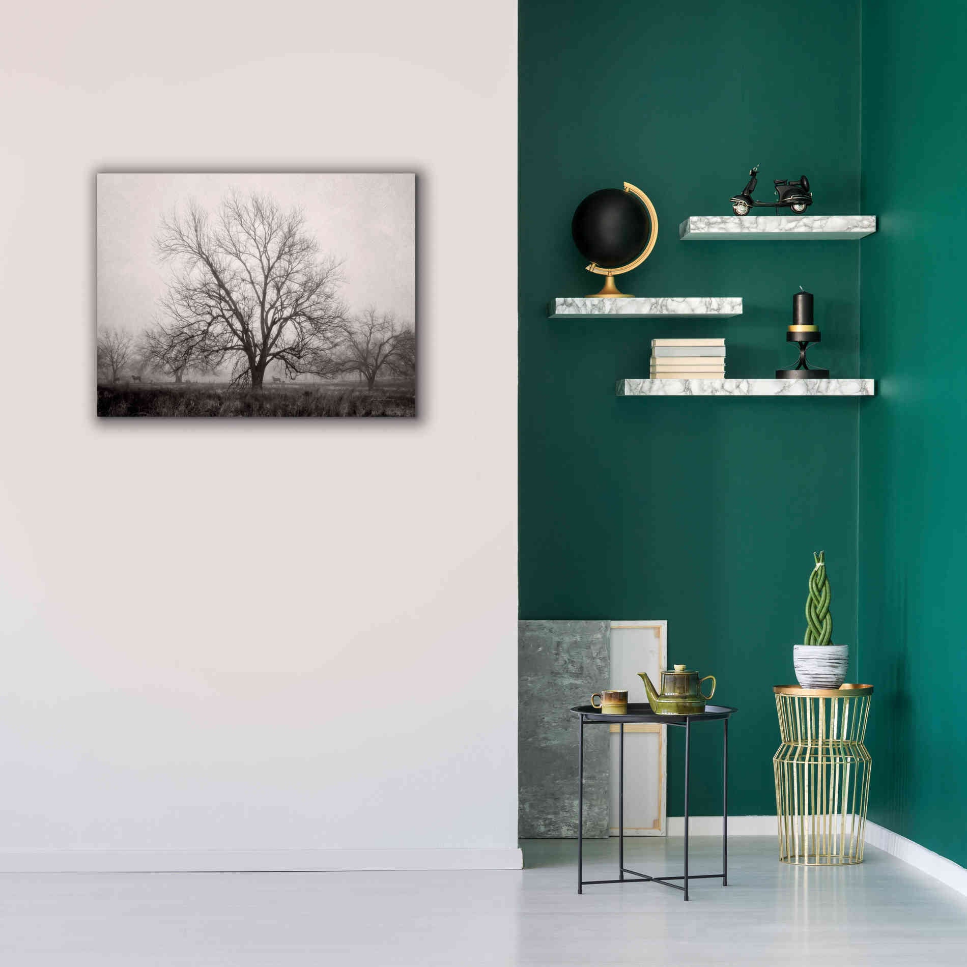 'Morning Calm I BW' by Debra Van Swearingen, Canvas Wall Art,34 x 26