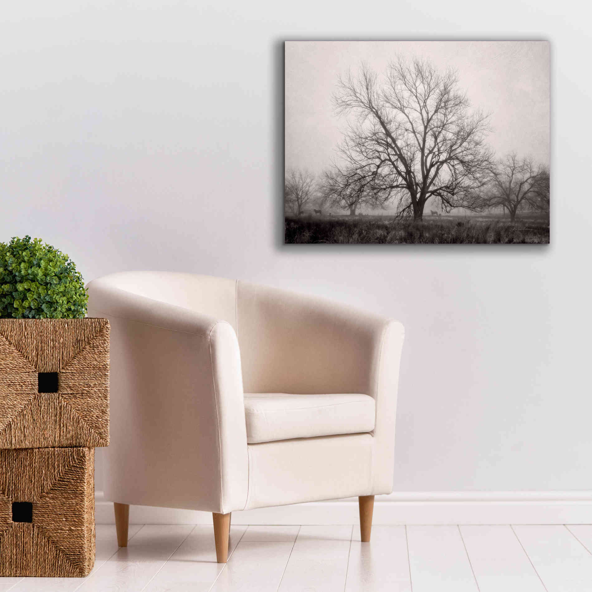 'Morning Calm I BW' by Debra Van Swearingen, Canvas Wall Art,34 x 26
