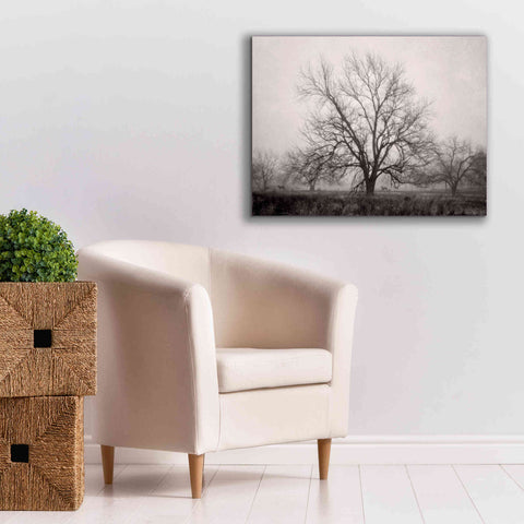Image of 'Morning Calm I BW' by Debra Van Swearingen, Canvas Wall Art,34 x 26