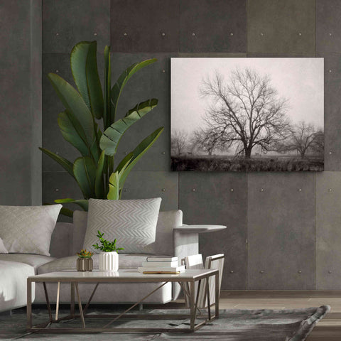 Image of 'Morning Calm I BW' by Debra Van Swearingen, Canvas Wall Art,54 x 40