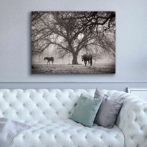 Image of 'Morning Calm II BW' by Debra Van Swearingen, Canvas Wall Art,54 x 40