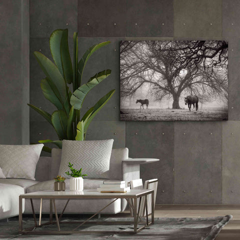 Image of 'Morning Calm II BW' by Debra Van Swearingen, Canvas Wall Art,54 x 40