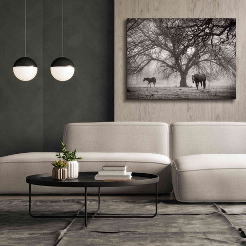 Image of 'Morning Calm II BW' by Debra Van Swearingen, Canvas Wall Art,54 x 40