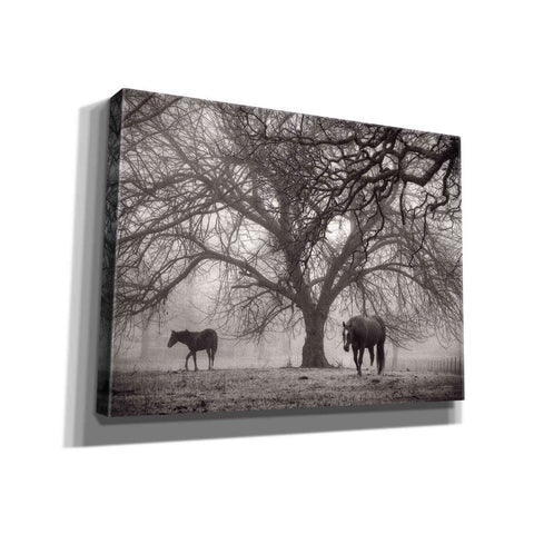 Image of 'Morning Calm II BW' by Debra Van Swearingen, Canvas Wall Art,16x12x1.1x0,26x18x1.1x0,34x26x1.74x0,54x40x1.74x0