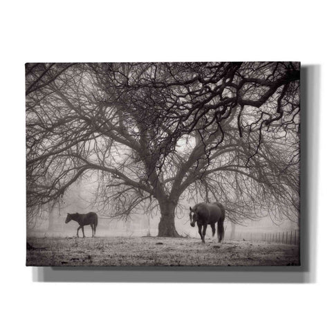 Image of 'Morning Calm II BW' by Debra Van Swearingen, Canvas Wall Art,16x12x1.1x0,26x18x1.1x0,34x26x1.74x0,54x40x1.74x0