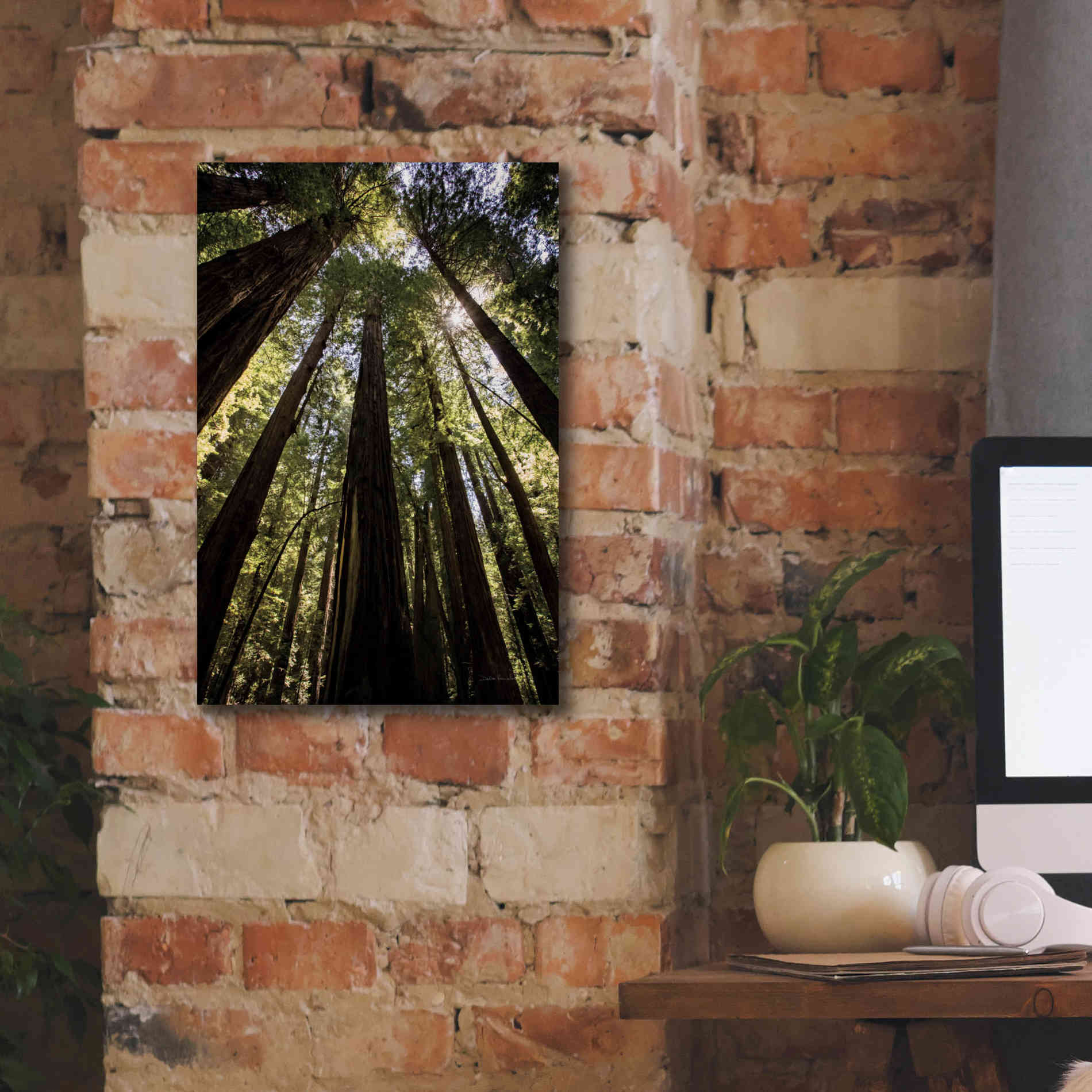 'The Stand' by Debra Van Swearingen, Canvas Wall Art,12 x 18