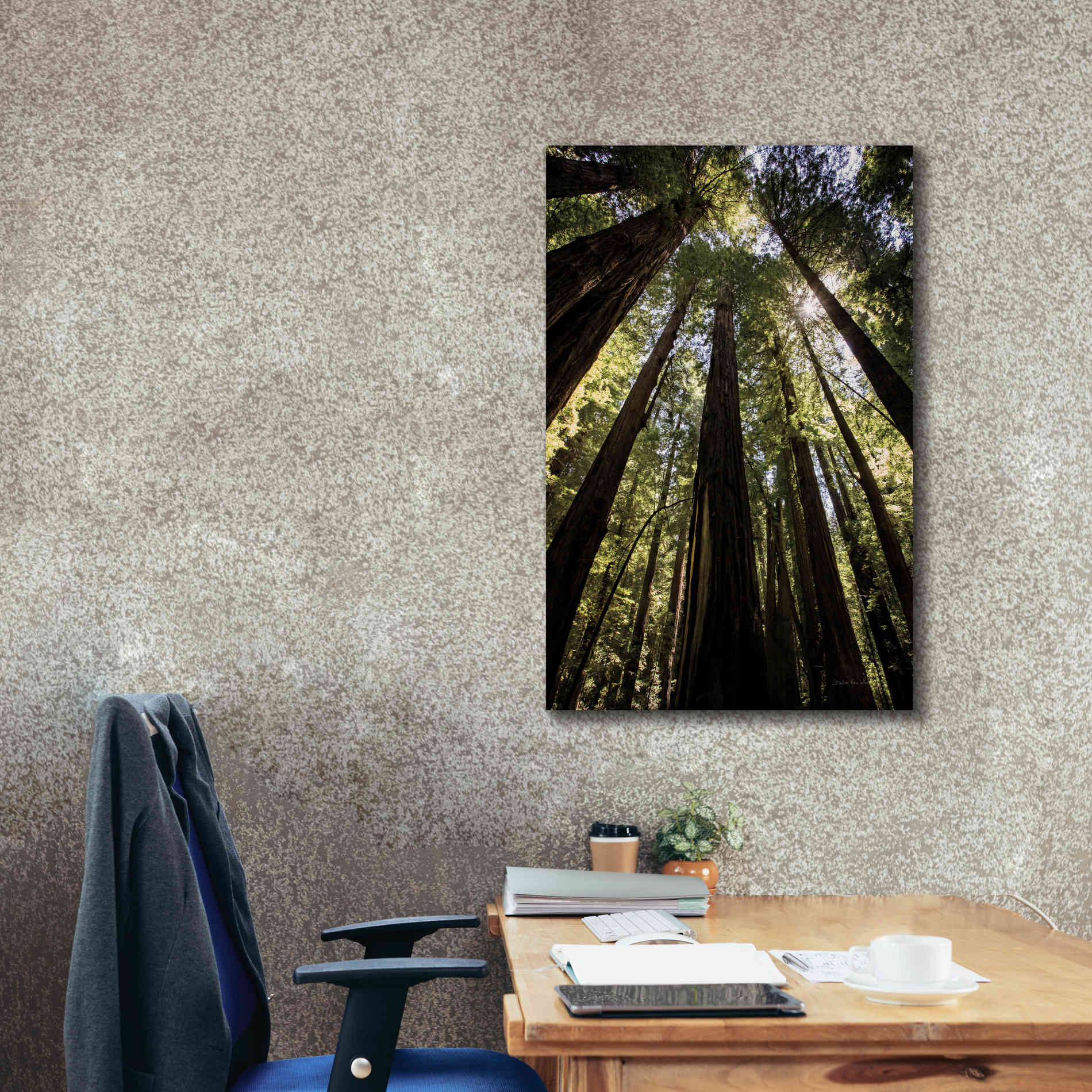 'The Stand' by Debra Van Swearingen, Canvas Wall Art,26 x 40