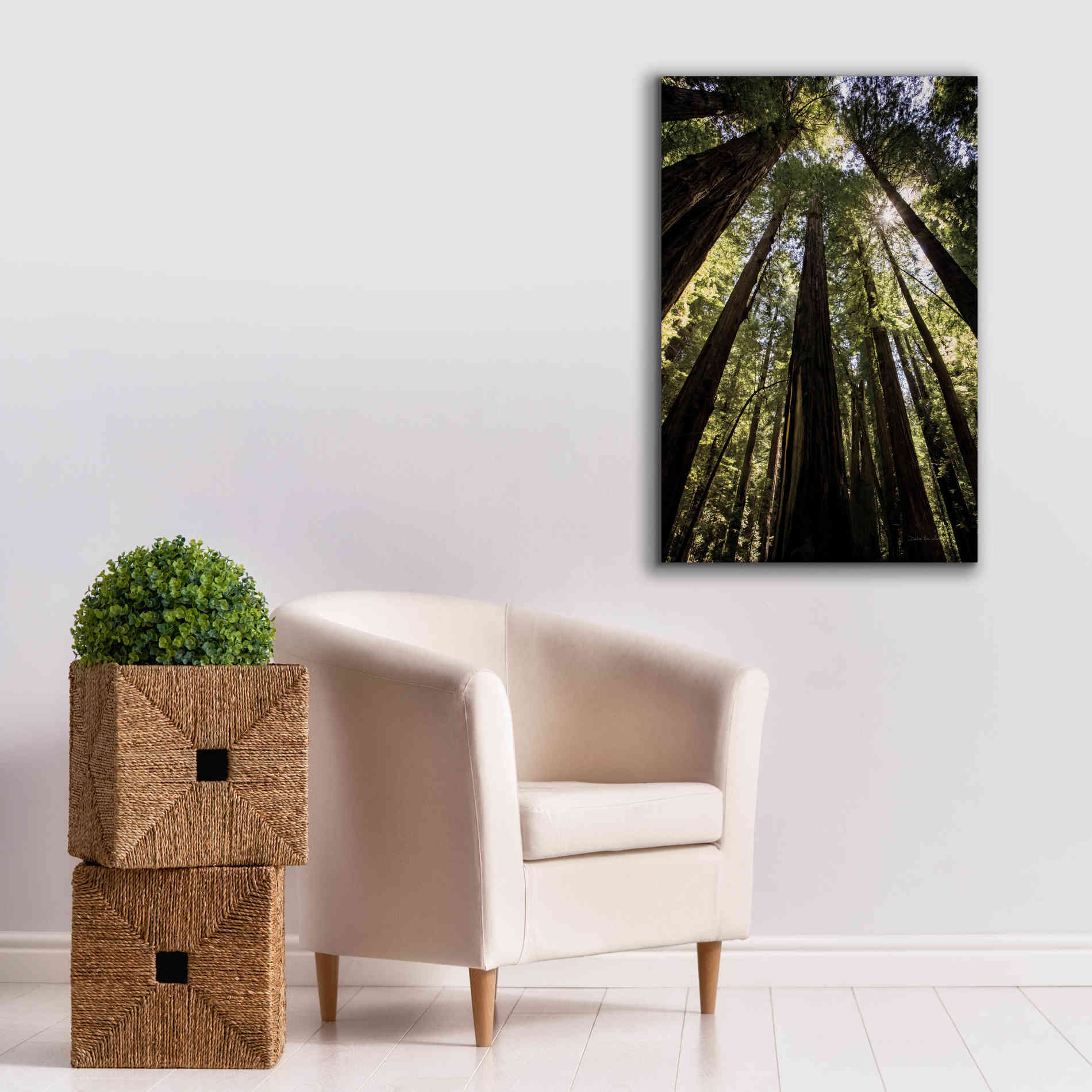 'The Stand' by Debra Van Swearingen, Canvas Wall Art,26 x 40