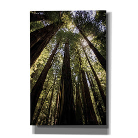 'The Stand' by Debra Van Swearingen, Canvas Wall Art,12x18x1.1x0,18x26x1.1x0,26x40x1.74x0,40x60x1.74x0