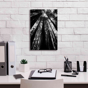 'The Stand BW' by Debra Van Swearingen, Canvas Wall Art,12 x 18