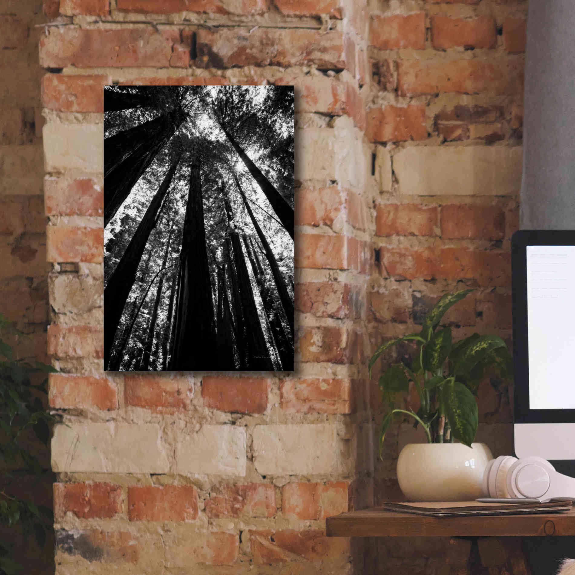 'The Stand BW' by Debra Van Swearingen, Canvas Wall Art,12 x 18