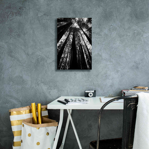 Image of 'The Stand BW' by Debra Van Swearingen, Canvas Wall Art,12 x 18