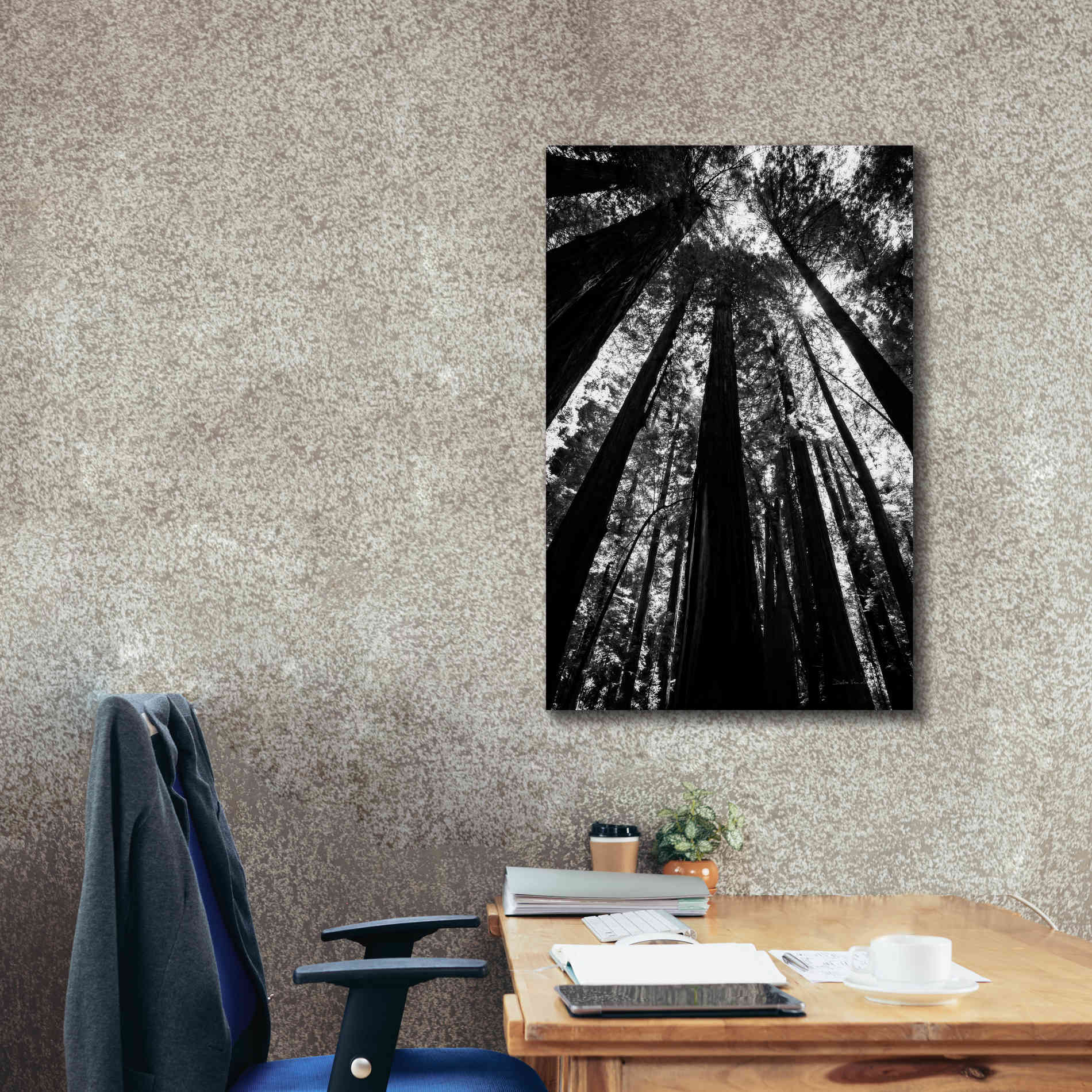 'The Stand BW' by Debra Van Swearingen, Canvas Wall Art,26 x 40