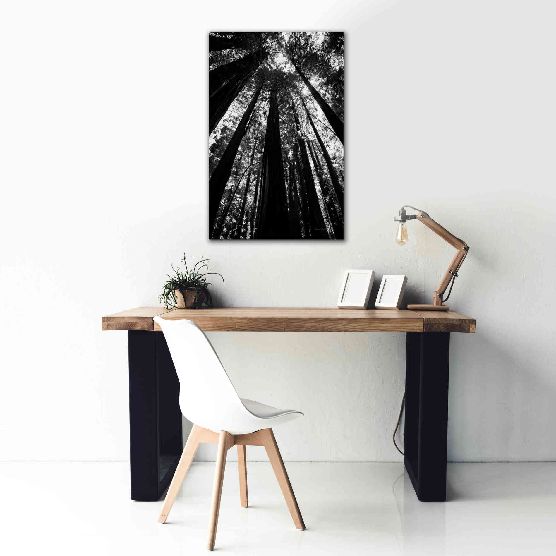 'The Stand BW' by Debra Van Swearingen, Canvas Wall Art,26 x 40