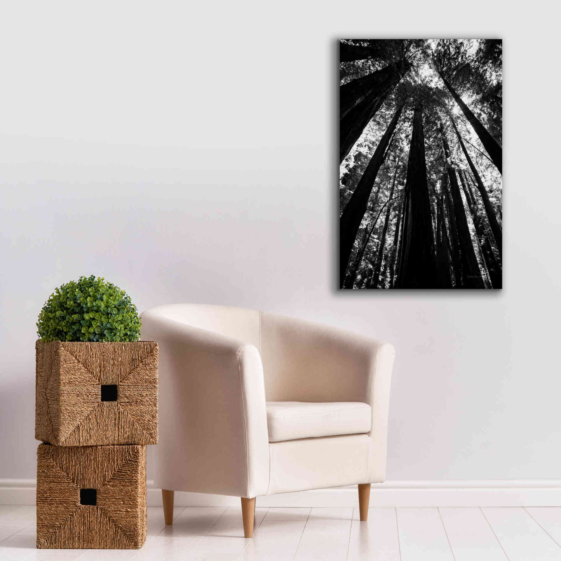 'The Stand BW' by Debra Van Swearingen, Canvas Wall Art,26 x 40