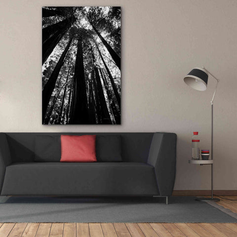 Image of 'The Stand BW' by Debra Van Swearingen, Canvas Wall Art,40 x 60